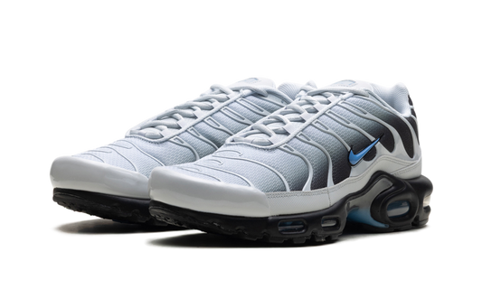 Air Max Plus "Grey University Blue Black" DM0032 015