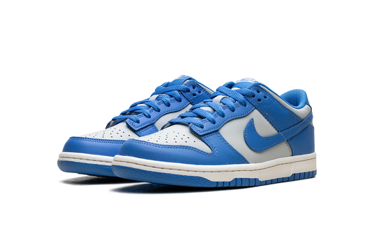 Dunk Low GS "Light Photo Blue" FB9109 004