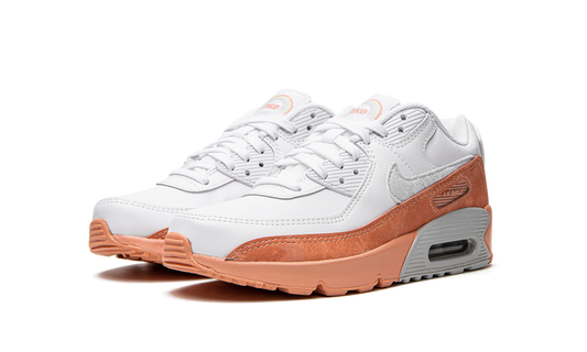 Air Max LTR 90 GS "White Light Madder Root" DM0956 100