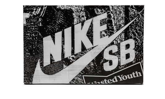 SB Dunk Low "Wasted Youth - Special Box" DD8386 001a