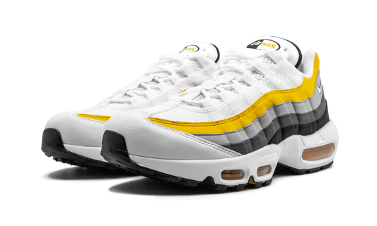 Air Max 95 CD7495 100