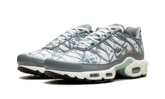 Air Max Plus "Waterway" FV0394 300
