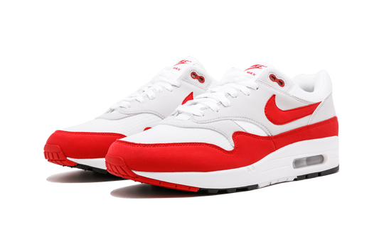 Air Max 1 Anniversary "Anniversary" 908375 103