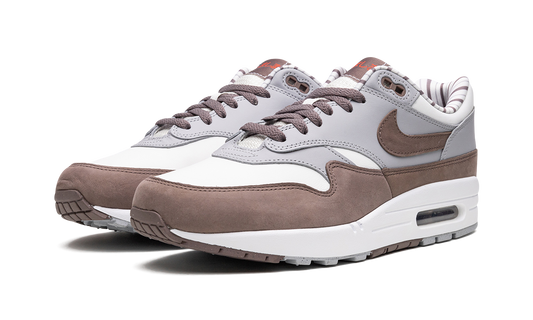Air Max 1 "Shima Shima" FB8916 100