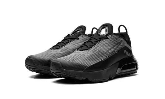 Air Max 2090(GS) "Black Wolf Grey" CJ4066 001