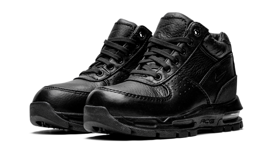 Air Max Goadome PS 311568 001