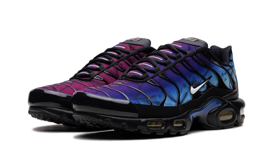 Air Max Plus "25th Anniversary" FV0393 001