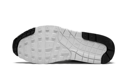 Air Max 1 Premium "Pure Platinum" 875844 006