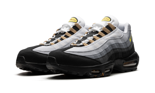 Air Max 95 "ICONS" DX4236 100