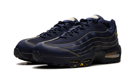 Air Max 95 "Michigan" IB7936 400