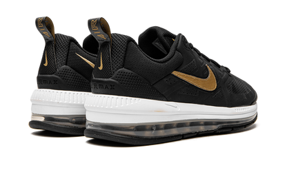 Air Max Genome "Black Metallic Gold" DM7567 001