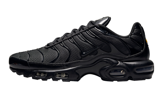 Air Max Plus "Triple Black" AJ2029 001