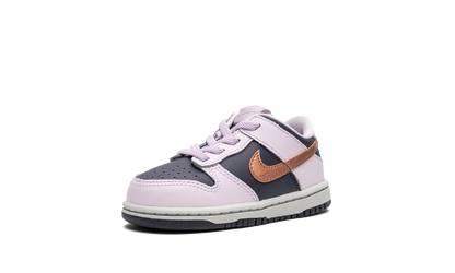 Dunk Low TD "Copper Swoosh" DX1665 400