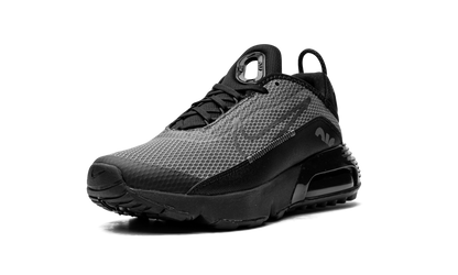 Air Max 2090(GS) "Black Wolf Grey" CJ4066 001