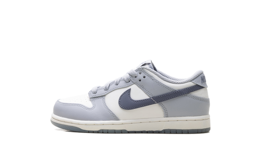Dunk Low PS "Light Carbon" FB9108 101