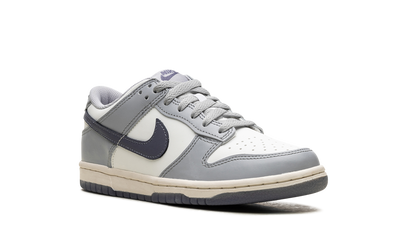 Dunk Low "Light Carbon" FB9109 101