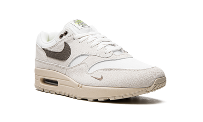 Air Max 1 "Sail Ironstone" DZ4494 100