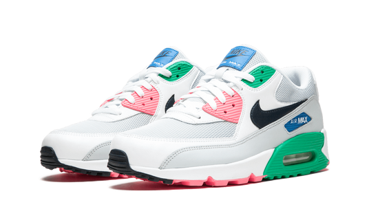 Air Max 90 Essential AJ1285 100