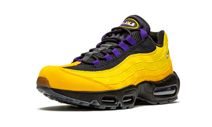 Air Max 95 NRG "Lakers - Lebron" CZ3624 001
