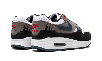Air Max 1 "Slate Blue" FJ0698 100