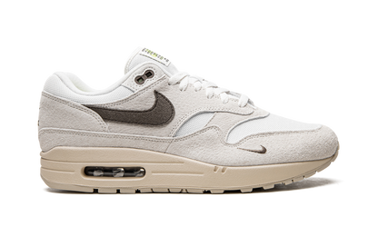 Air Max 1 "Sail Ironstone" DZ4494 100
