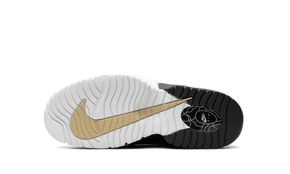 Air Max Penny GS "Rattan" DZ5311 200