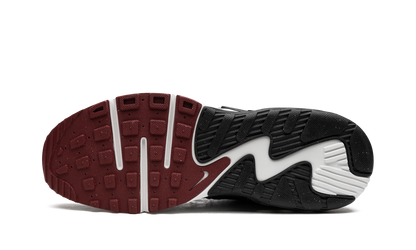 AIR MAX EXCEE WMNS "Team Red" DQ3993 001