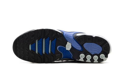 Air Max Plus Drift "Summit White Royal Pulse" FD4290 102
