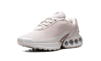 Air Max Dn "Light Orewood Brown" FJ3145 101