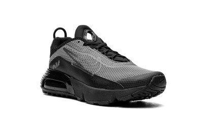 Air Max 2090(GS) "Black Wolf Grey" CJ4066 001