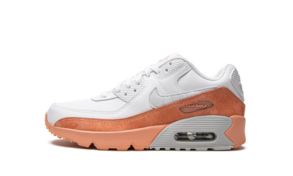 Air Max LTR 90 GS "White Light Madder Root" DM0956 100