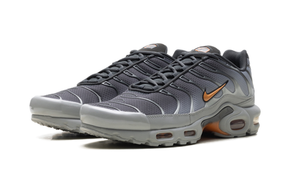 Air Max Plus "Light Smoke Grey Hot Curry" DM0032 037