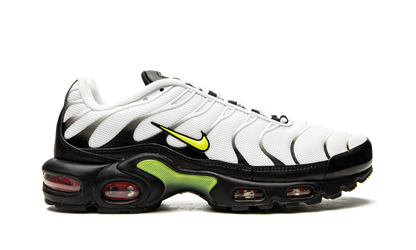Air Max Plus "Retro Future" AJ2013 100