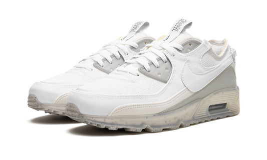 Air Max 90 Terrascape "White Grey" DQ3987 101