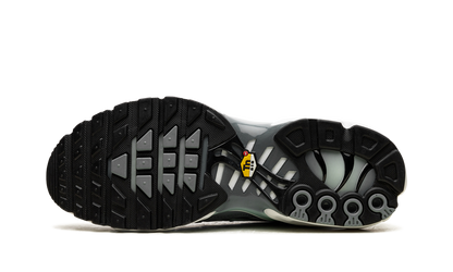 Air Max Plus "Waterway" FV0394 300