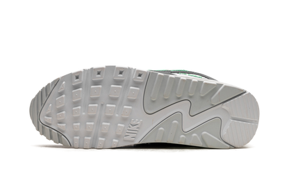 Air Max 90 "Spring Green" DM0029 104