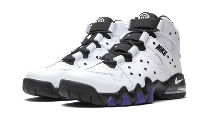 Air Max2 CB '94 "White / Varsity Purple" DD8557 100
