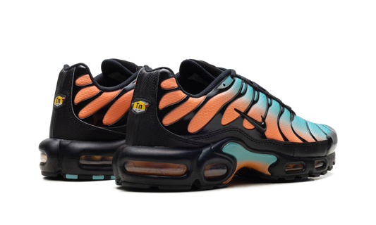 Air Max Plus "South Beach" DM0032 022