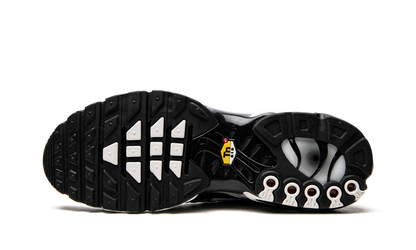 Air Max Plus "Black / Silver" DM0032 003