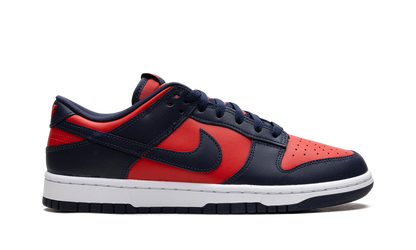 Dunk Low CO.JP "City Attack" DV0833 601