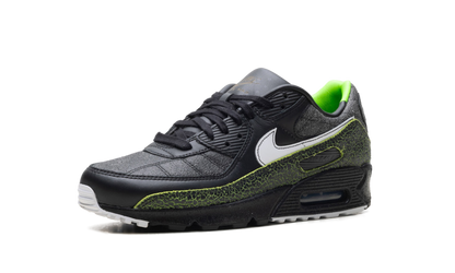 Air Max 90 "Tiempo 2005" IU0523 010