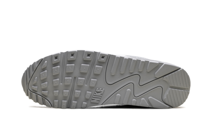 Air Max 90 "Jewel Light Smoke Grey" FN8005 100