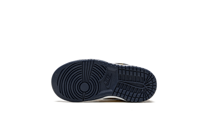 Dunk Low TD "Michigan" CW1589 700