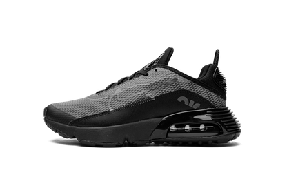 Air Max 2090(GS) "Black Wolf Grey" CJ4066 001