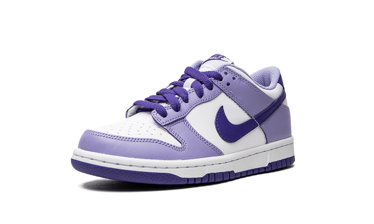 Dunk Low GS "Blueberry" DZ4456 100