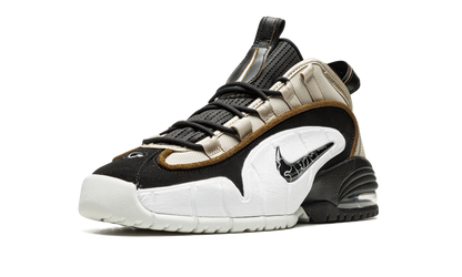 Air Max Penny 1 "Rattan" DV7442 200