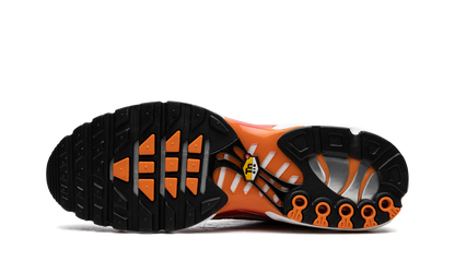 Air Max Plus "Light Photography - Sport Red" DZ3531 600
