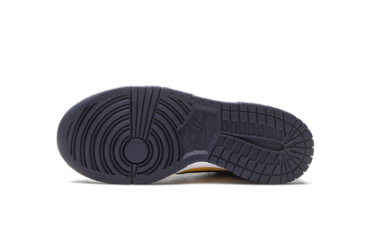 Dunk Low GS "Michigan 2021" CW1590 700