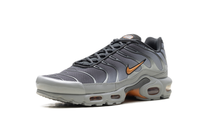 Air Max Plus "Light Smoke Grey Hot Curry" DM0032 037
