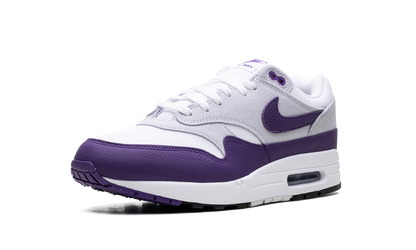 Air Max 1 SC "Field Purple" DZ4549 101